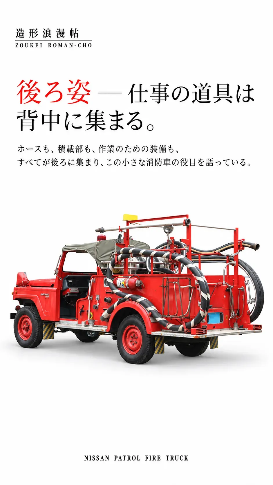 この複雑な背中には独特の機能美